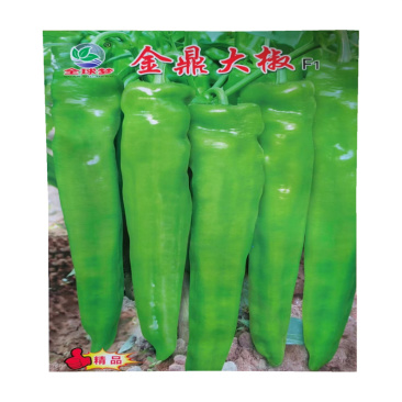 金鼎大椒种子大果羊角青椒黄皮尖椒辣椒种子中早熟牛角椒种子