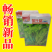特色白菜苔种子菊叶甜畅销蔬菜种子四季秋季耐寒早熟大田种籽