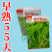 特色白菜苔种子菊叶甜畅销蔬菜种子四季秋季耐寒早熟大田种籽