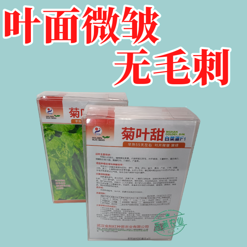特色白菜苔种子菊叶甜畅销蔬菜种子四季秋季耐寒早熟大田种籽