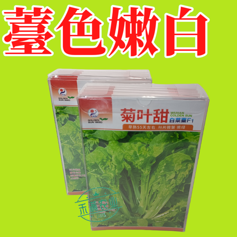 特色白菜苔种子菊叶甜畅销蔬菜种子四季秋季耐寒早熟大田种籽