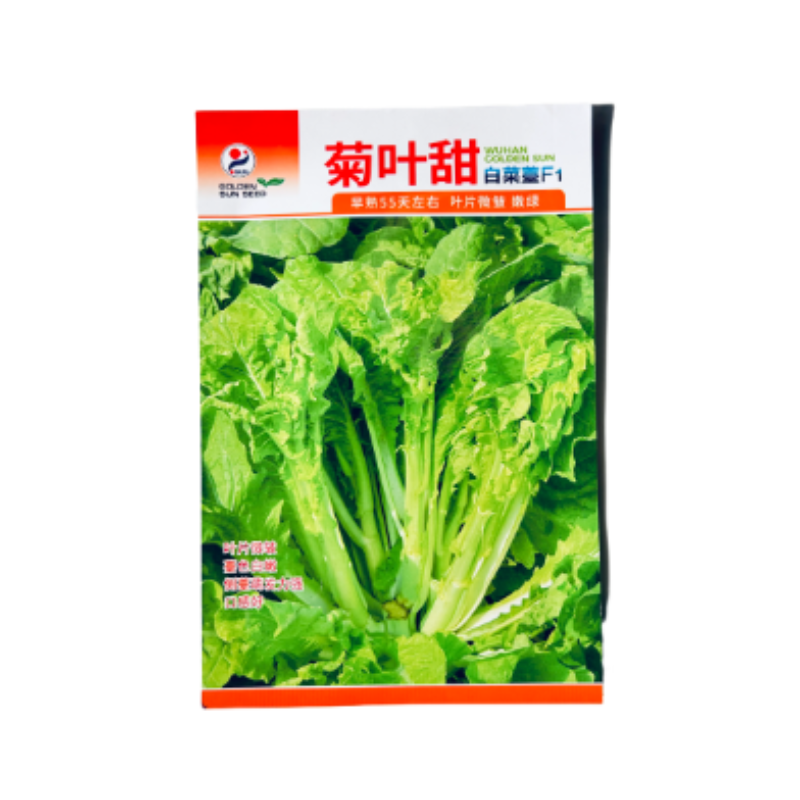 特色白菜苔种子菊叶甜畅销蔬菜种子四季秋季耐寒早熟大田种籽