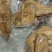 五香卤鸡，美味佳肴，卤菜店宴会一手货源，欢迎致电