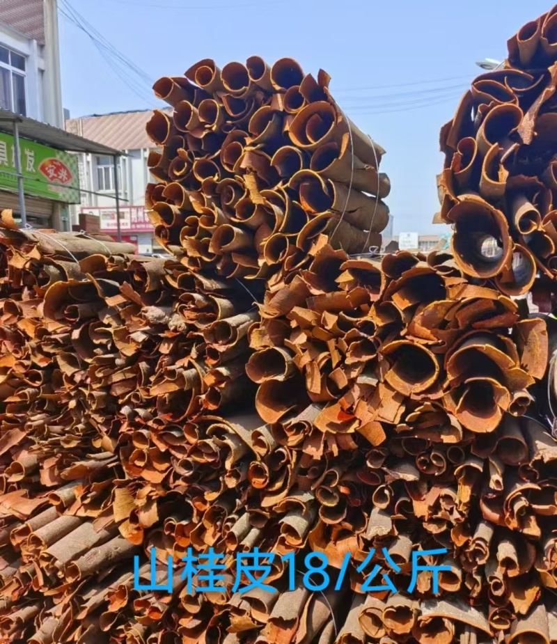 桂皮山桂皮野生桂皮精品货量大从优一手货源欢迎咨询