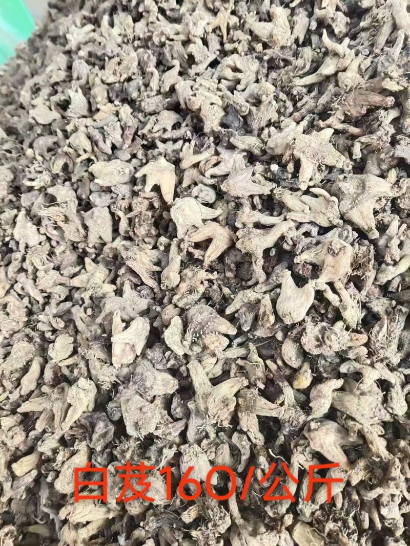 白芨野生白芨品质好量大从优欢迎咨询