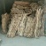 桑白皮野生桑白皮品质保障量大从优欢迎咨询