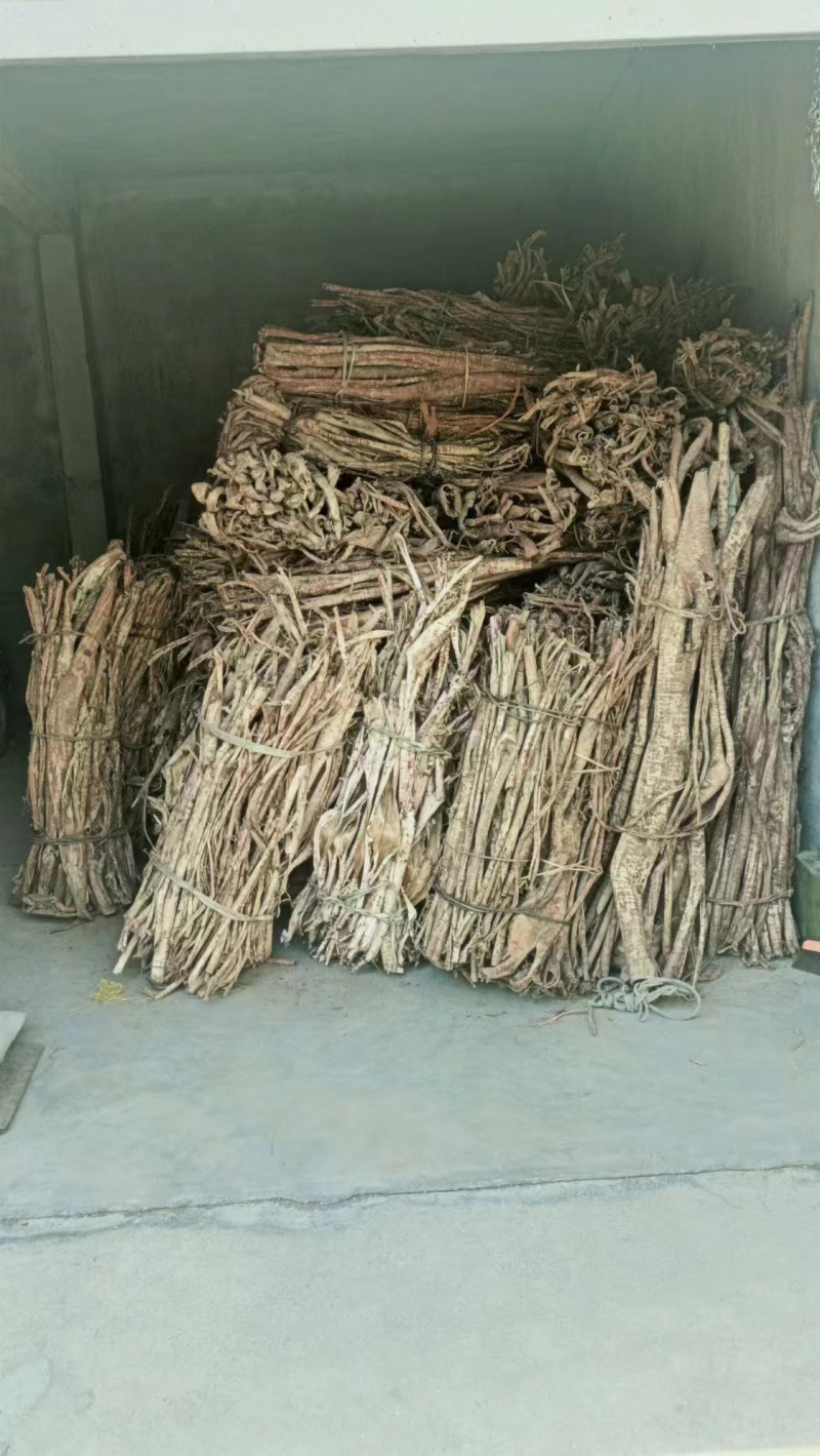桑白皮野生桑白皮品质保障量大从优欢迎咨询