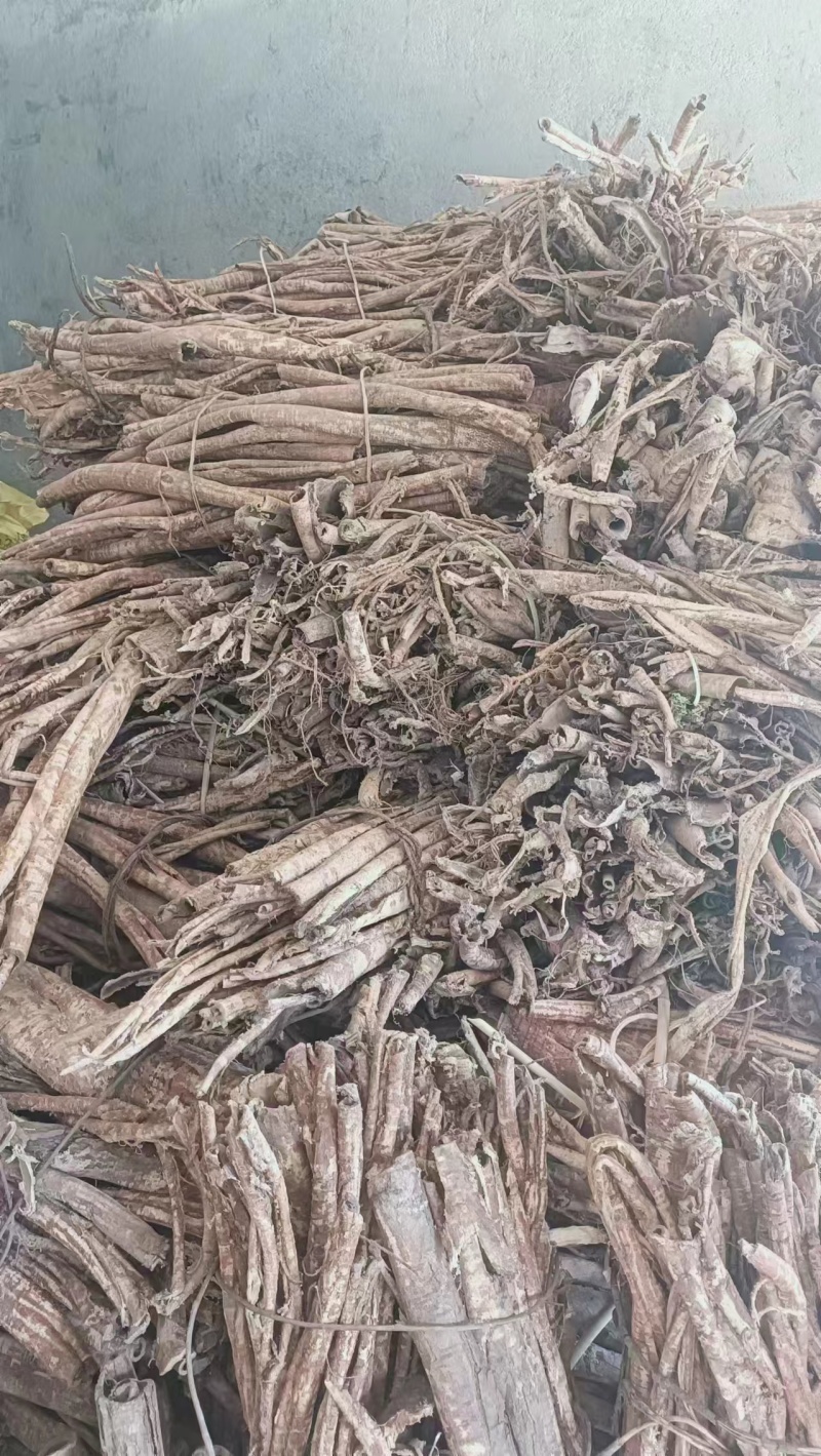 桑白皮野生桑白皮品质保障量大从优欢迎咨询