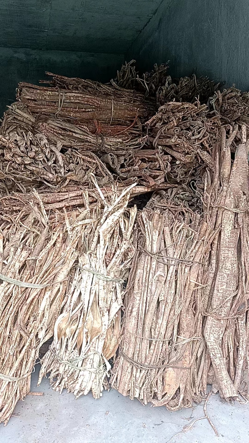 桑白皮野生桑白皮品质保障量大从优欢迎咨询