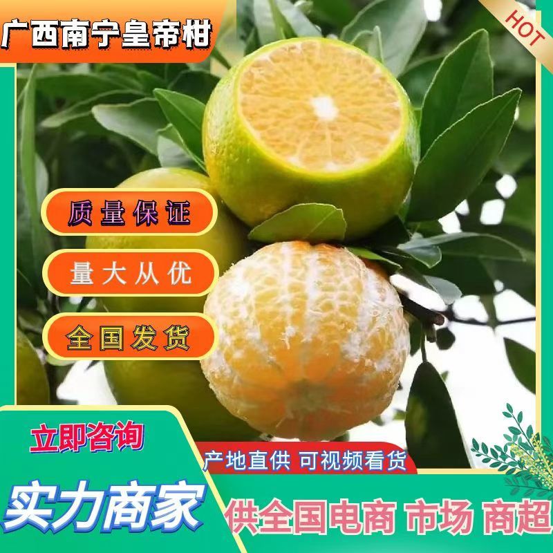 广西南宁皇帝柑柑桔一手货源量大从优供全国电商市场平台
