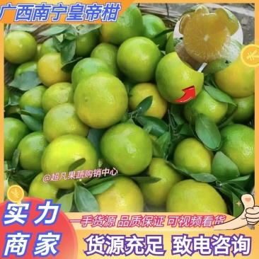 广西皇帝柑柑桔货源充足量大从优一手货源实力代发全