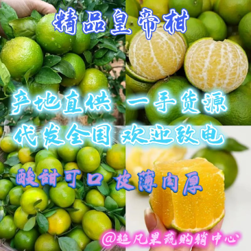 广东柑桔韶关皇帝柑产地直供量大从优实力代发全国商超