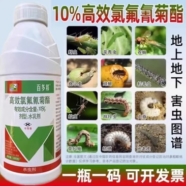 10%高效氯氟氰菊酯蚜虫棉铃虫菜青虫小菜娥潜叶娥烟青虫
