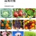 10%虱螨脲锈壁虱菜青虫吊丝虫钻心虫杀卵柑橘果树蔬菜农药