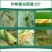 11.8%甲维虫螨腈甘蓝小菜蛾肉虫二化螟棉铃虫农药杀虫剂