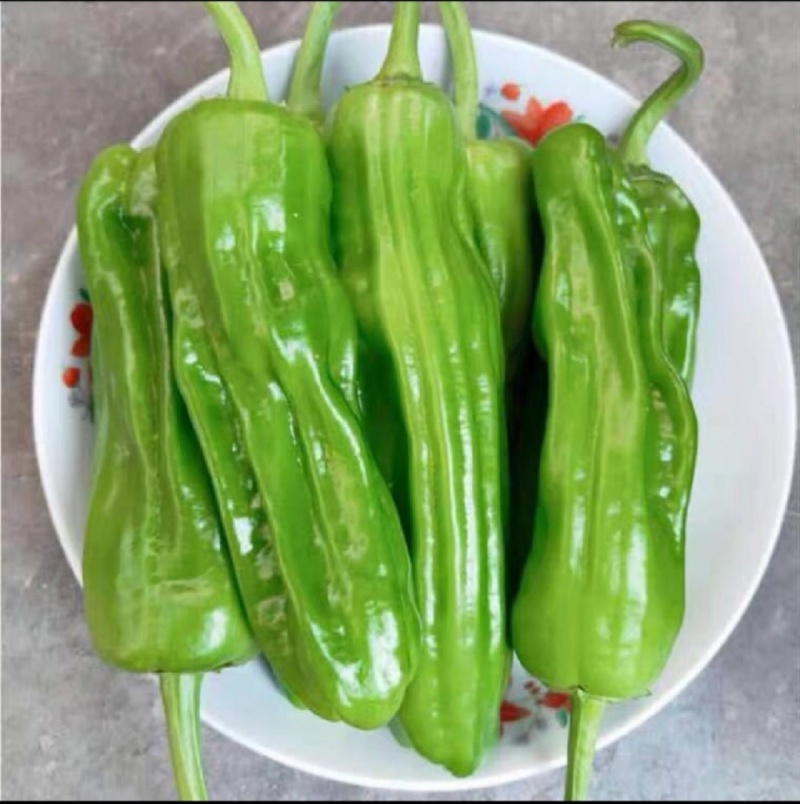 【精品】淮安薄皮椒精品货源产地直发欢迎来电咨询