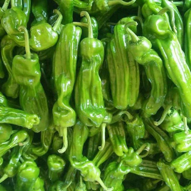 【精品】淮安薄皮椒精品货源产地直发欢迎来电咨询