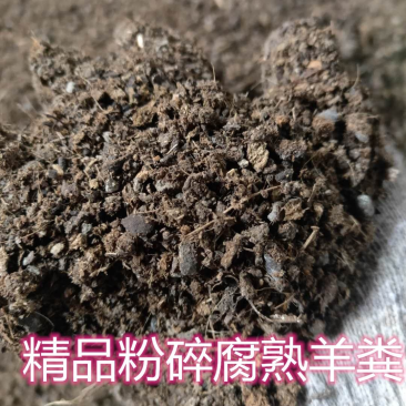 发酵纯羊粪，堆积腐熟，挖掘机翻晾，粉碎装袋。