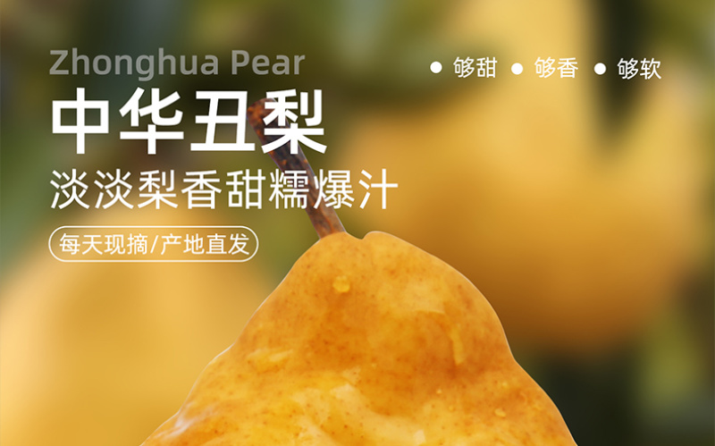 【一件代发】中华丑梨水果新鲜软糯香甜产地直供