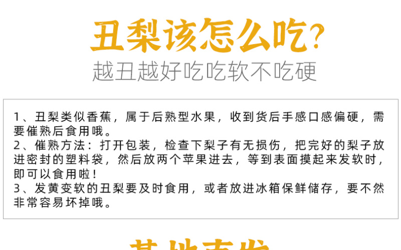 【一件代发】中华丑梨水果新鲜软糯香甜产地直供