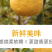 【一件代发】中华丑梨水果新鲜软糯香甜产地直供