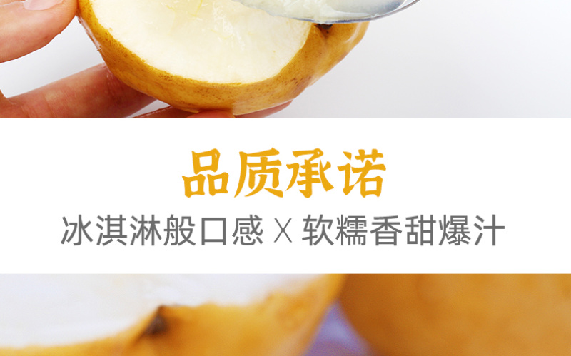 【一件代发】中华丑梨水果新鲜软糯香甜产地直供