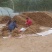 安阳内黄双棒山药/棒药铁棍大量上市对接市场商超电商
