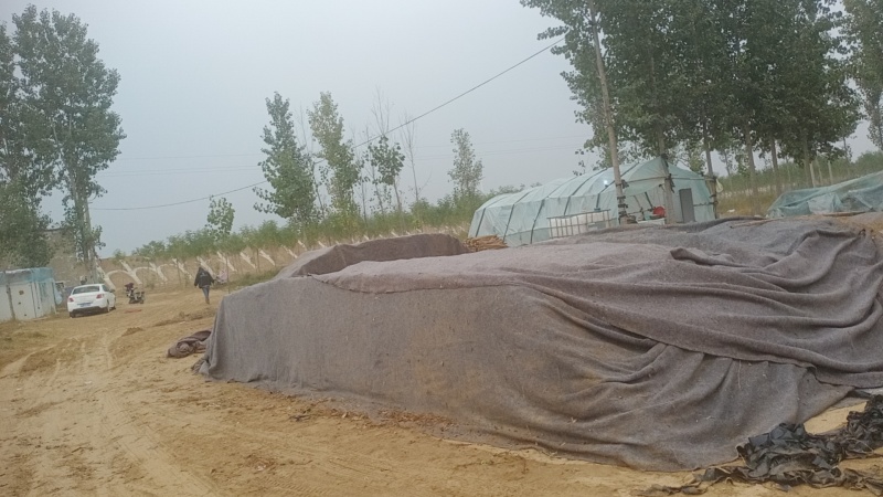 安阳内黄双棒山药/棒药铁棍大量上市对接市场商超电商
