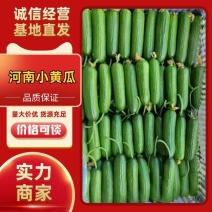 河南水果黄瓜，小黄瓜，电商，超市，大型基地直发全国
