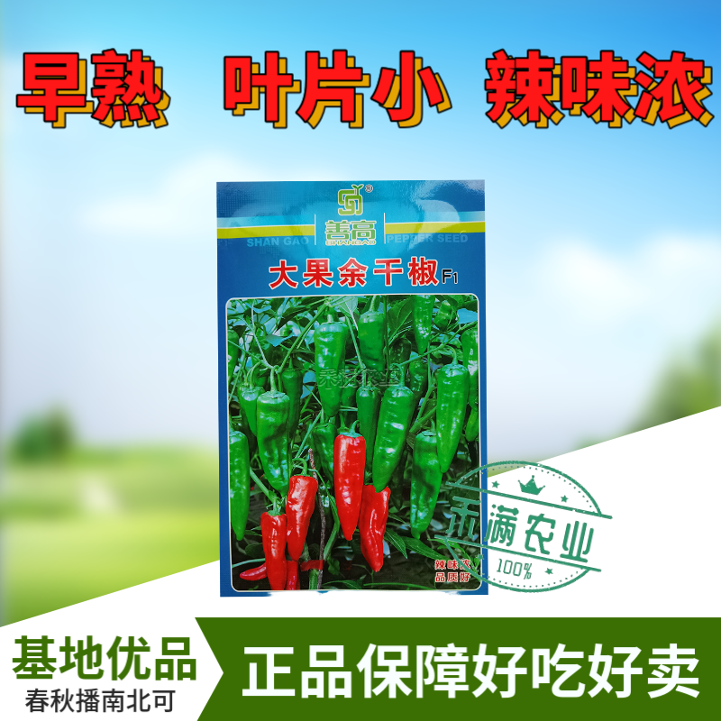 江西特色大果余干椒小虎辣种籽辣椒种籽大全小米辣椒种孑辣椒