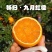 九月红脐橙个头大口感好甜分充足产地直发量大价优欢迎
