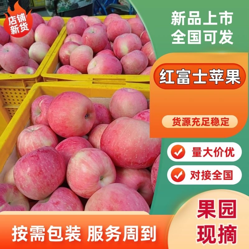宁夏中卫沙坡头苹果，纸袋早富士大量上市量大从优