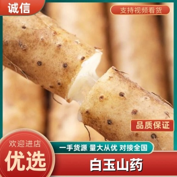 【精选】新疆正宗现挖白玉山药品质纯正软糯香甜生态种