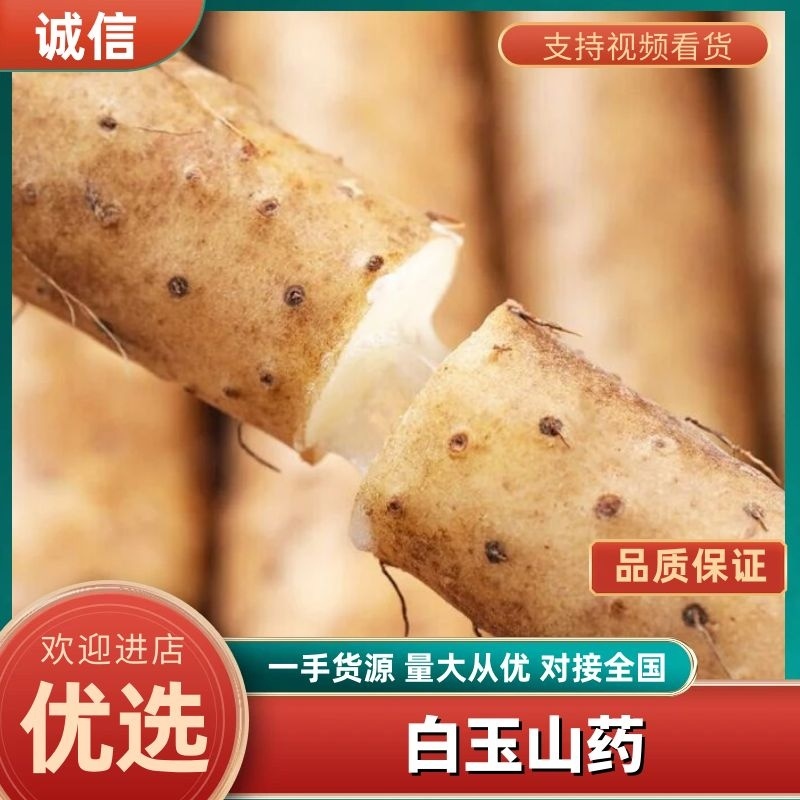 【精选】新疆正宗现挖白玉山药品质纯正软糯香甜生态种