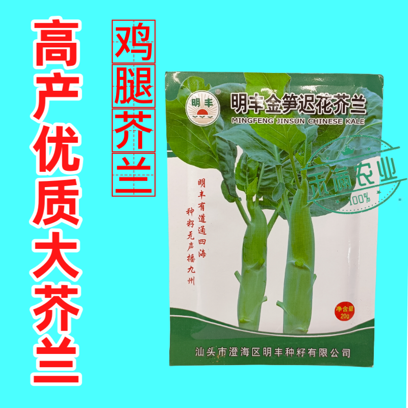 鸡腿芥兰种子大个头芥兰正宗大果蔬菜专用高产秋季种植抗病高