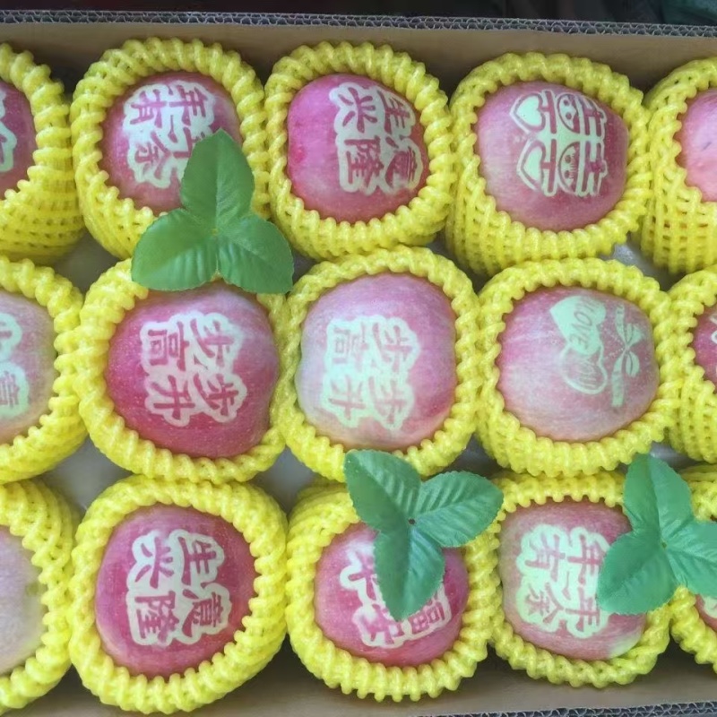 【红富士苹果】河北苹果条红片红纸袋膜袋按需求分拣打包发货