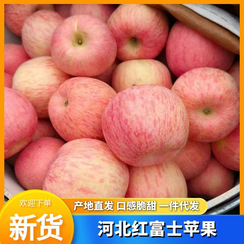 【红富士苹果】河北苹果条红片红纸袋膜袋按需求分拣打包发货
