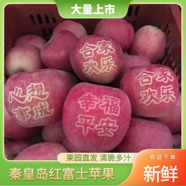 【寒富苹果】河北秦皇岛苹果现货供应全国接单承接电商