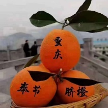 奉节脐橙72-1目前价格一树清1.6一斤，味道纯甜