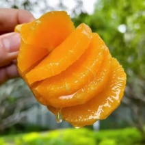 奉节脐橙，还有1个月大量上市，有需要的老板联系！！！