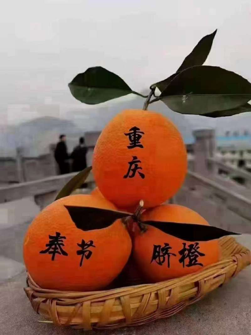 奉节脐橙，还有1个月大量上市，有需要的老板联系！！！