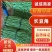 广东豆角长条豆角大量现货供应，现摘现发，可视频看货发全国
