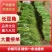 徐闻长豆角青天豆角，产地一手货源，规格齐全，代发全国