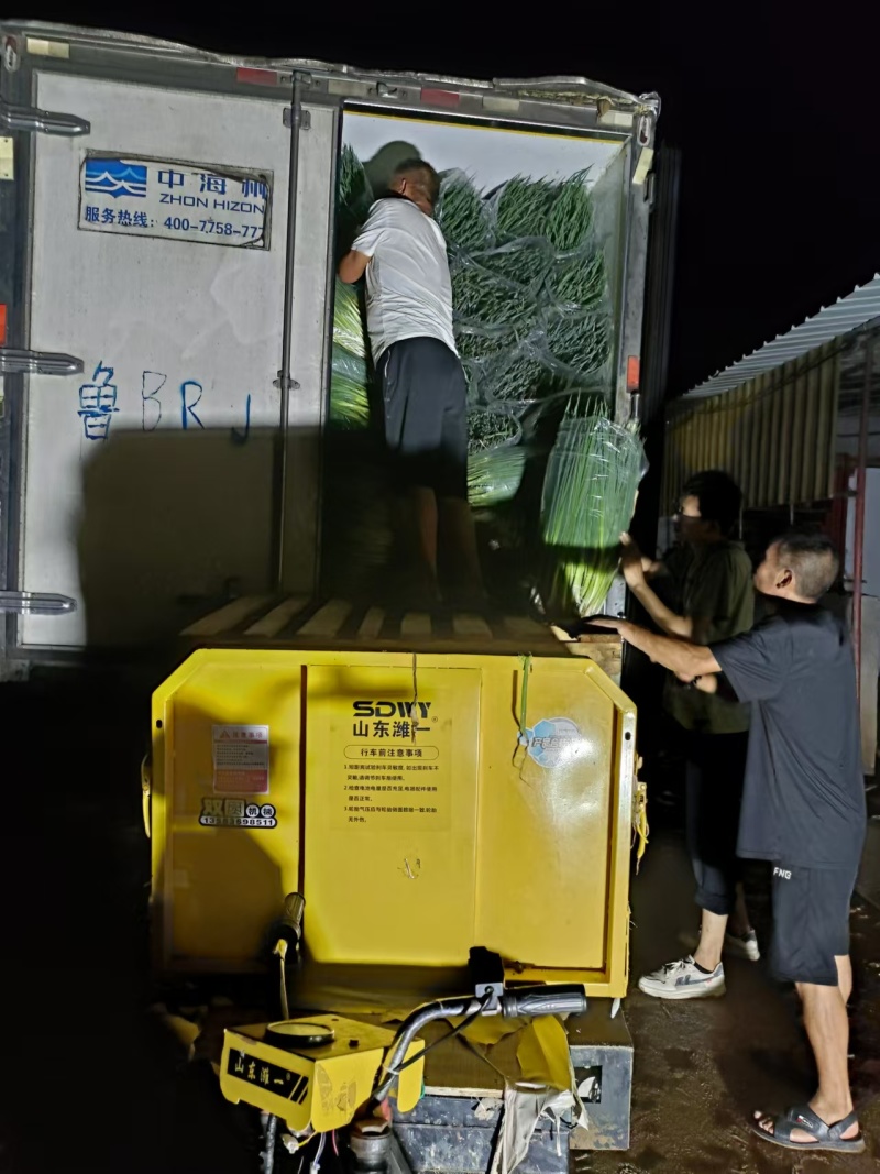 小葱香葱大量供货一手货源品质保证产地直供