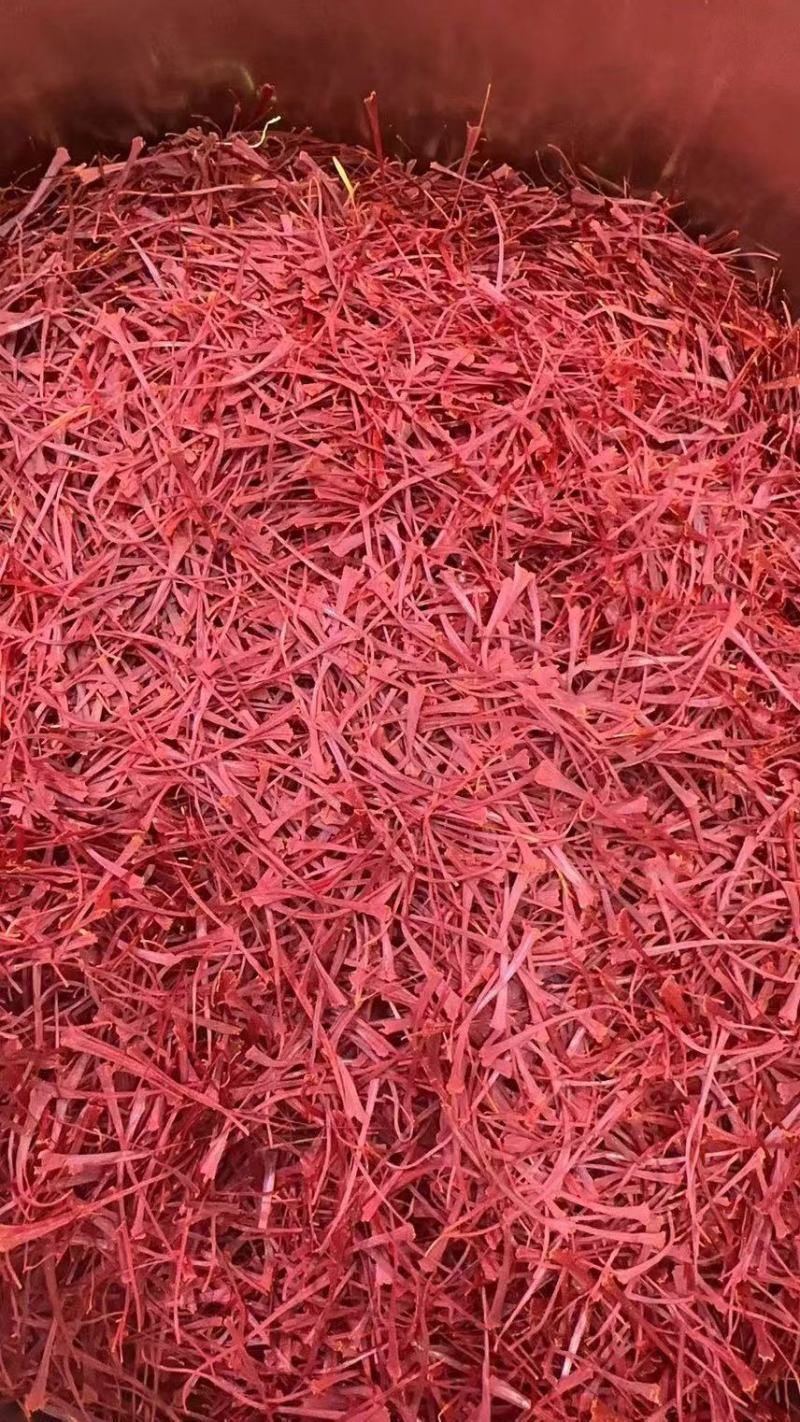 精品藏红花基地直发量大质优品质保证欢迎来电质询