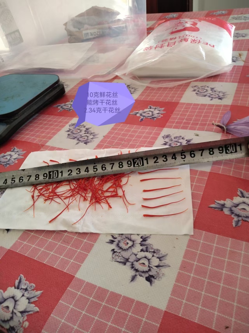 精品藏红花基地直发量大质优品质保证欢迎来电质询