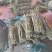 精品铁皮石斛鲜条产地直供批发价格保质保量欢迎全国老板采购