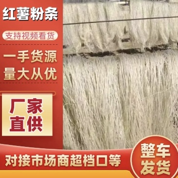 【荐】河南红薯粉条可视频看货自家生产品质保证对接全国