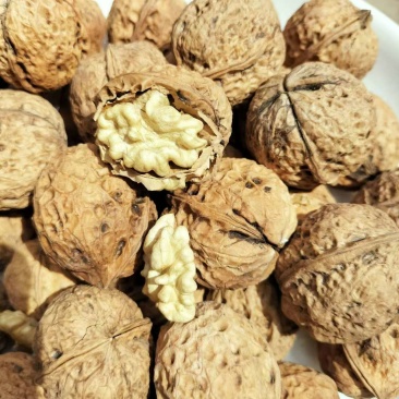 【优选商品】云南薄皮核桃老树核桃产地直发一手货源