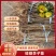 嫁接蜂糖李子苗品质优良纯正根系发达苗圃直发保湿发货